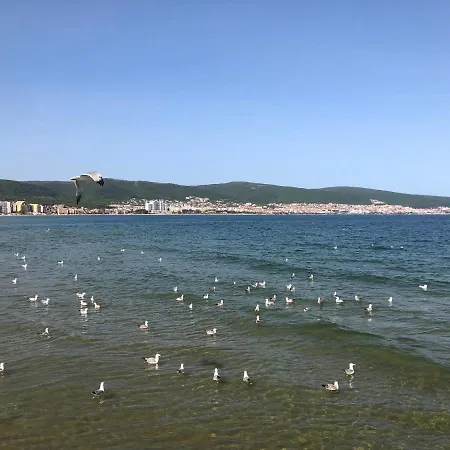 Sirena Sveti Vlas
