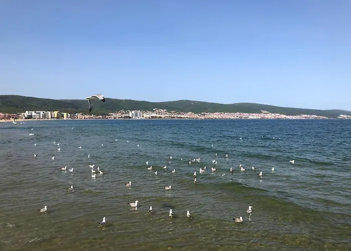 Sirena Sveti Vlas